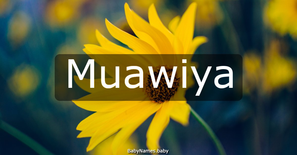 Muawiya