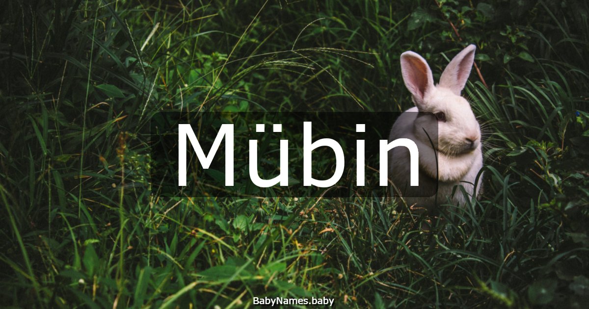 Mübin