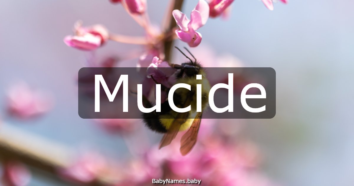 Mucide