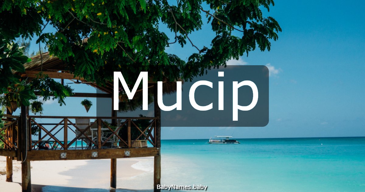 Mucip