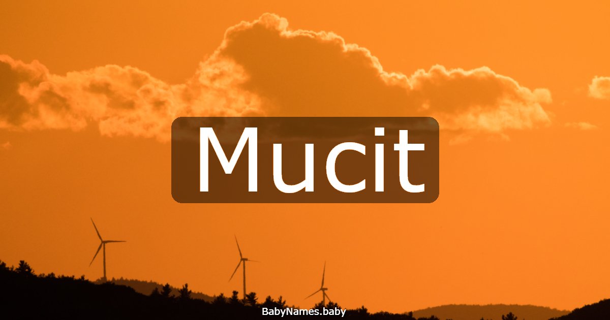 Mucit