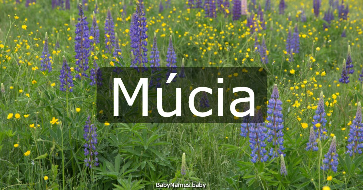 Múcia