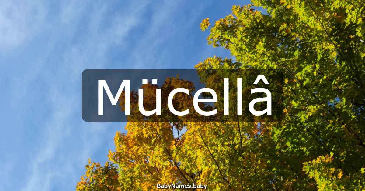 Mücellâ