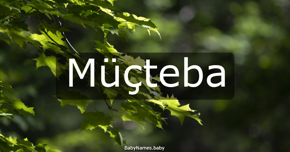 Müçteba