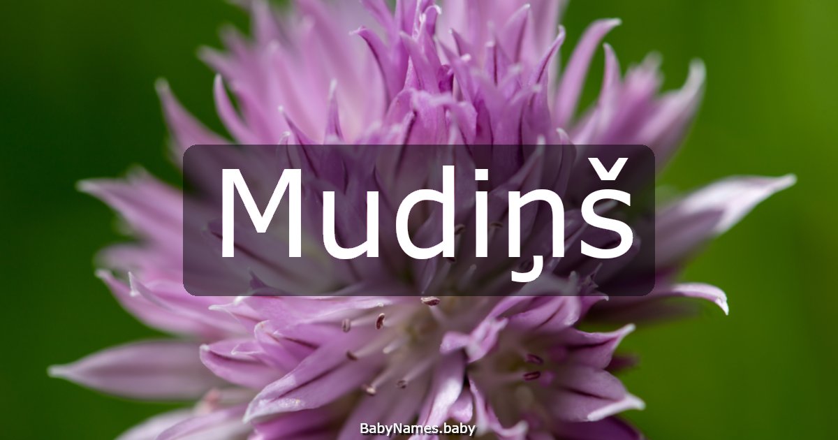 Mudiņš