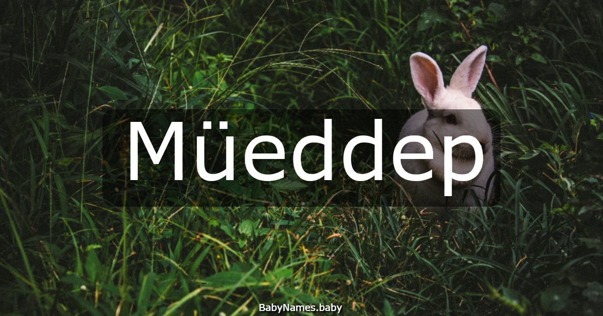 Müeddep