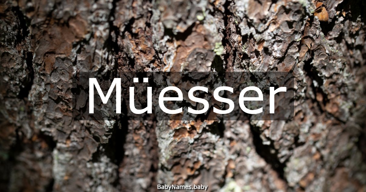 Müesser