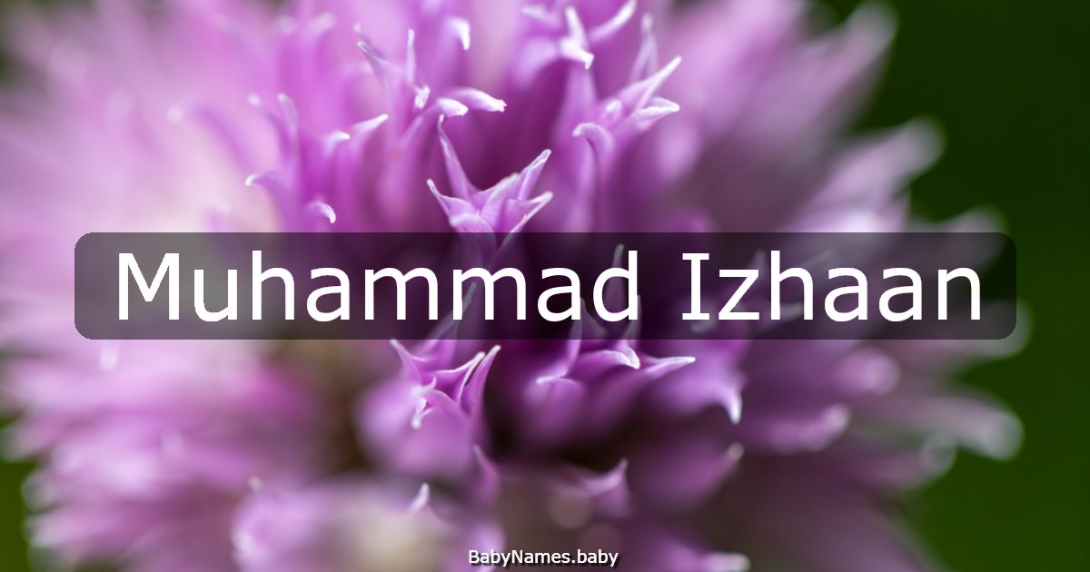 Muhammad Izhaan