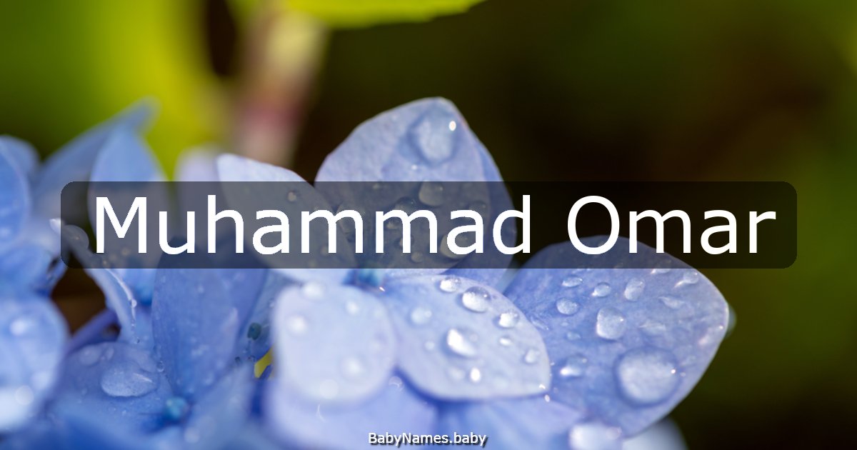 Muhammad Omar