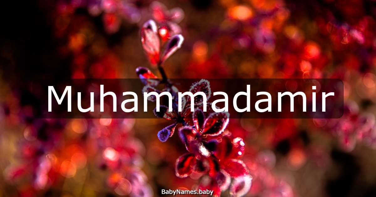 Muhammadamir