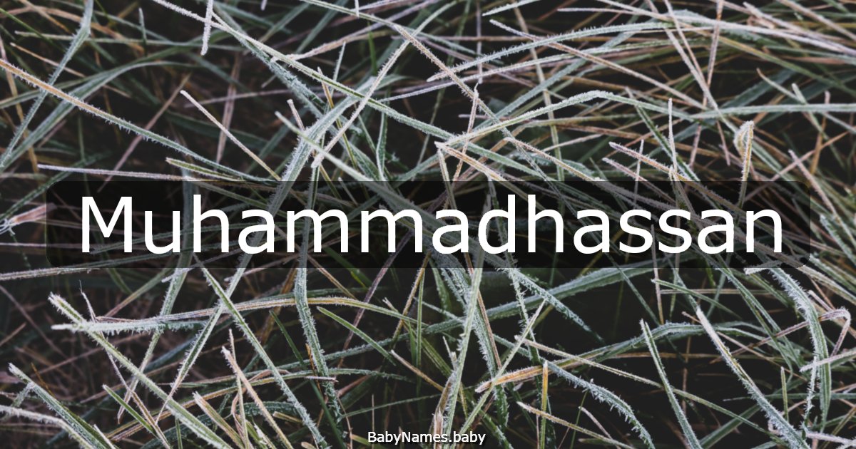 Muhammadhassan