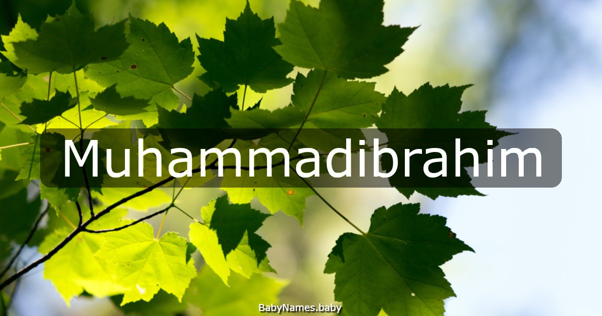 Muhammadibrahim