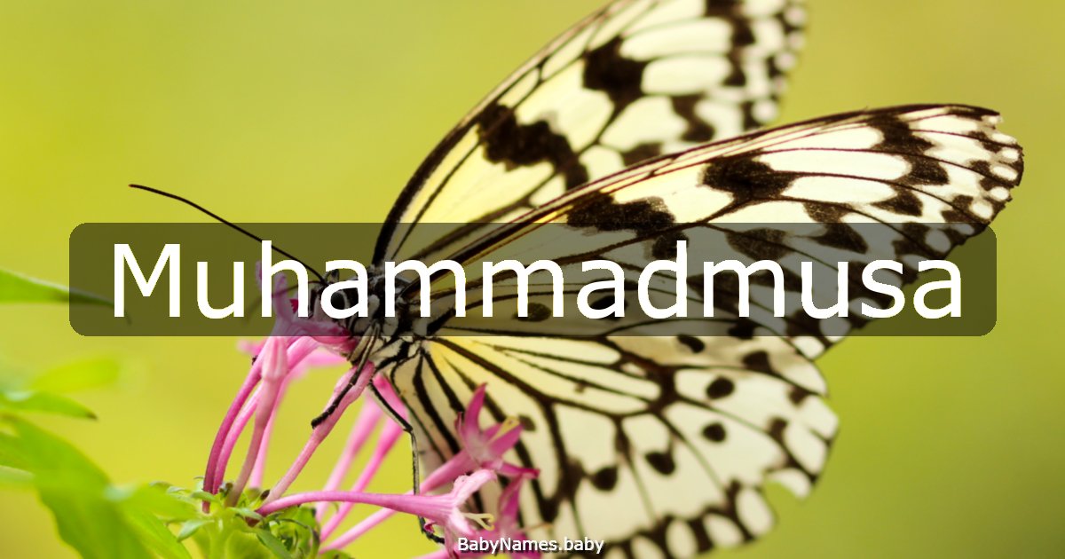 Muhammadmusa