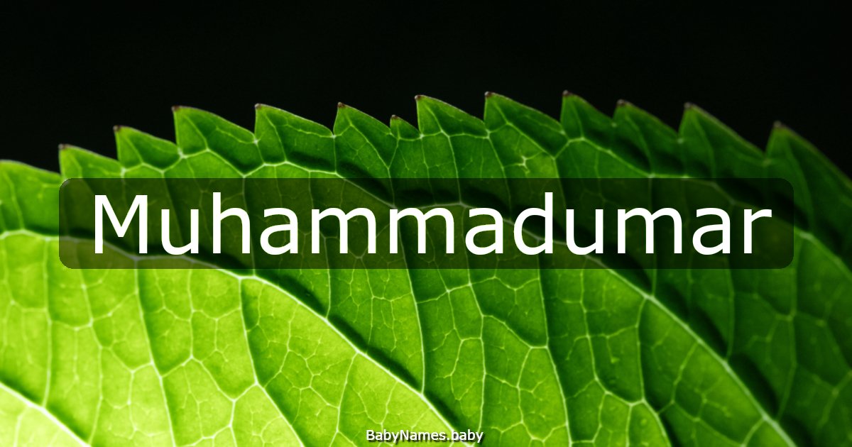 Muhammadumar
