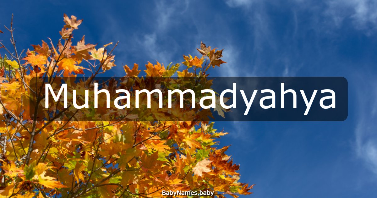 Muhammadyahya
