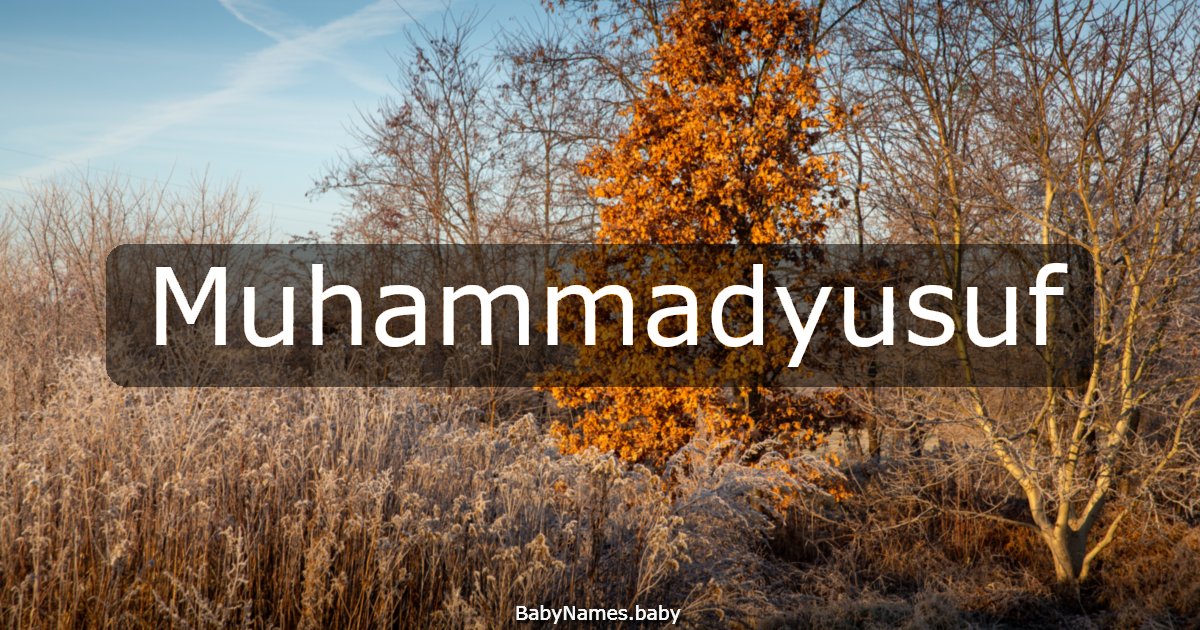 Muhammadyusuf