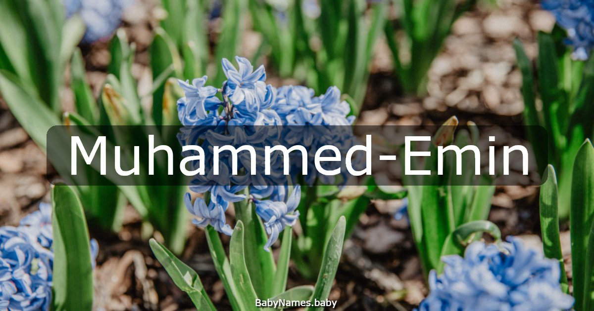 Muhammed-Emin