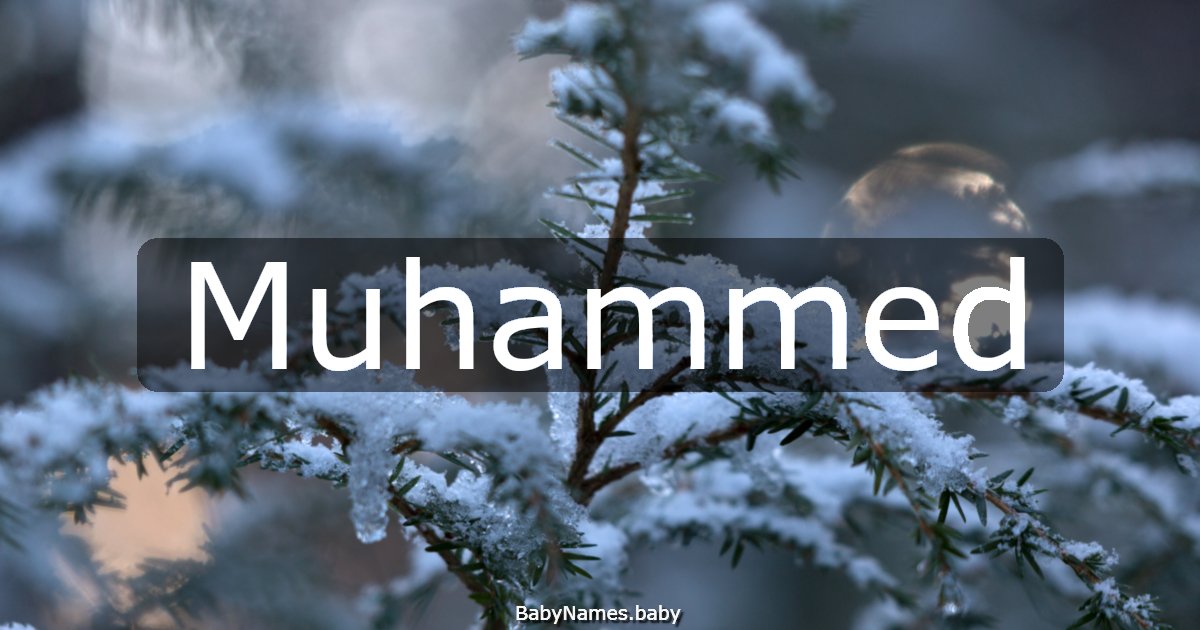 Muhammed