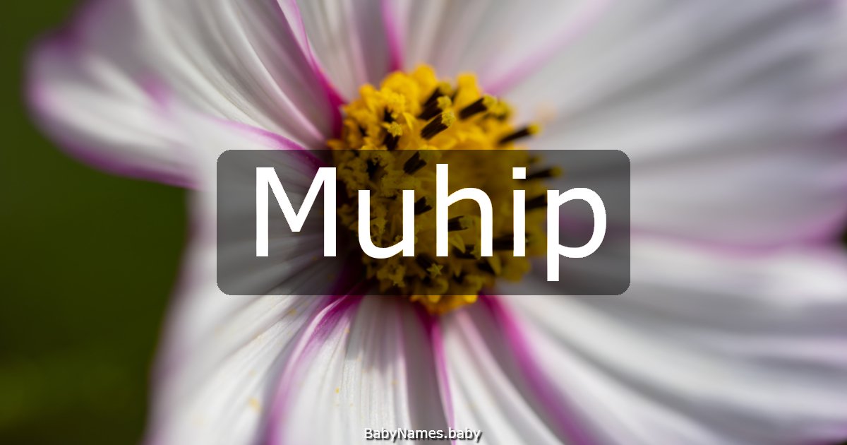 Muhip