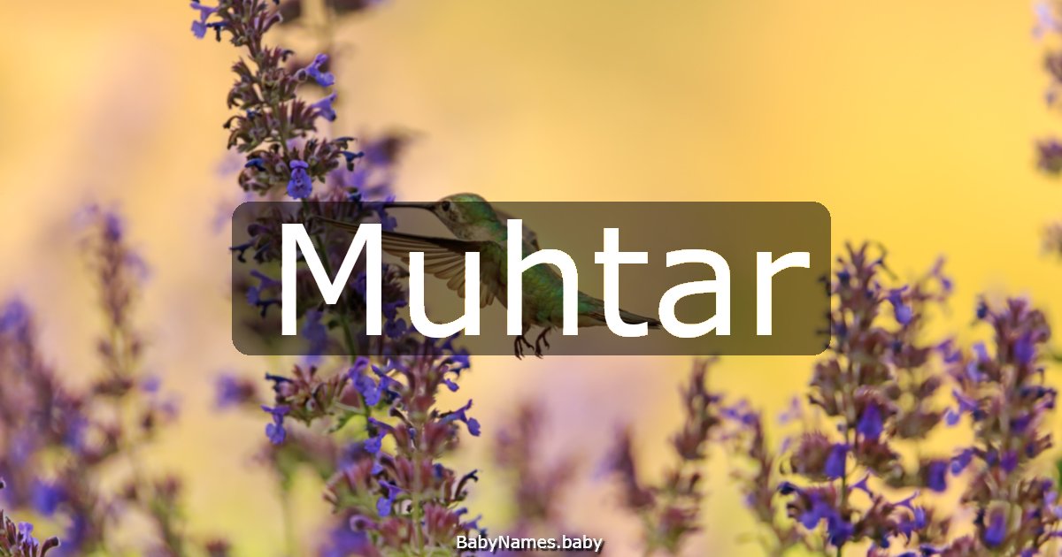 Muhtar