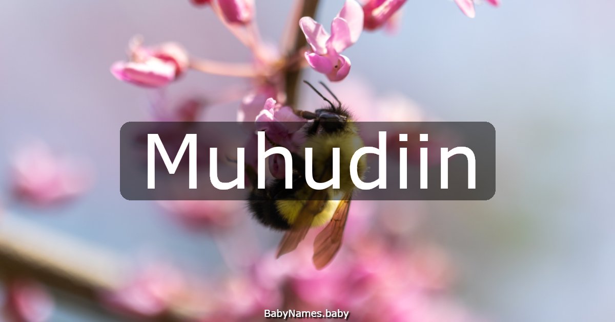 Muhudiin