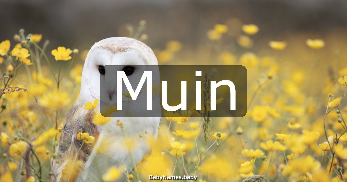 Muin