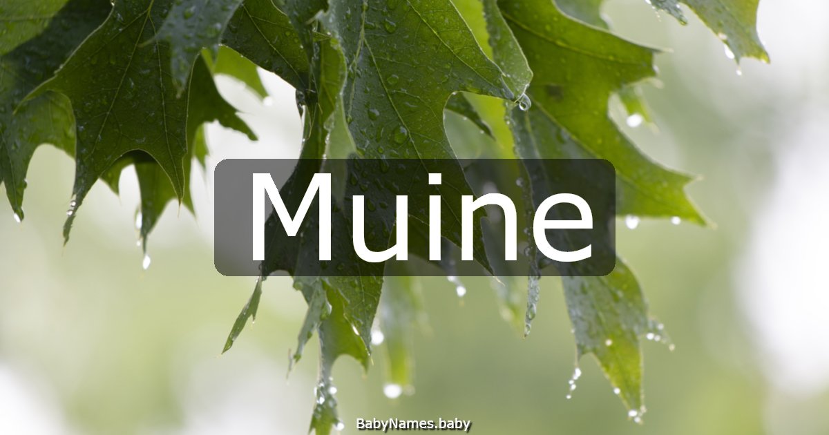 Muine