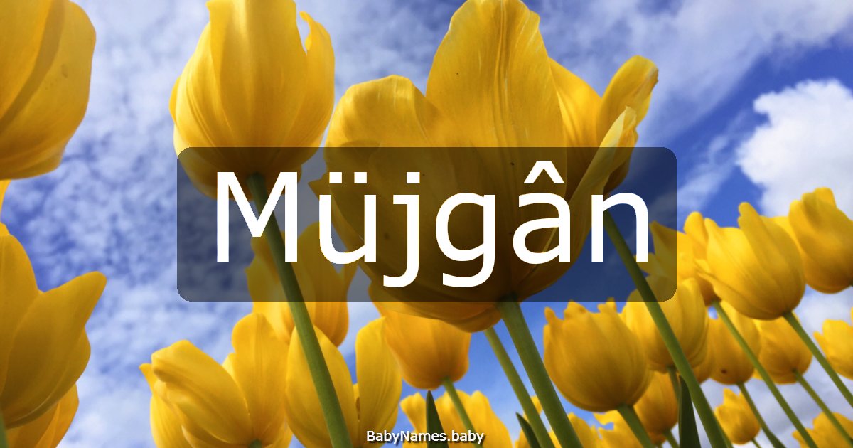 Müjgân