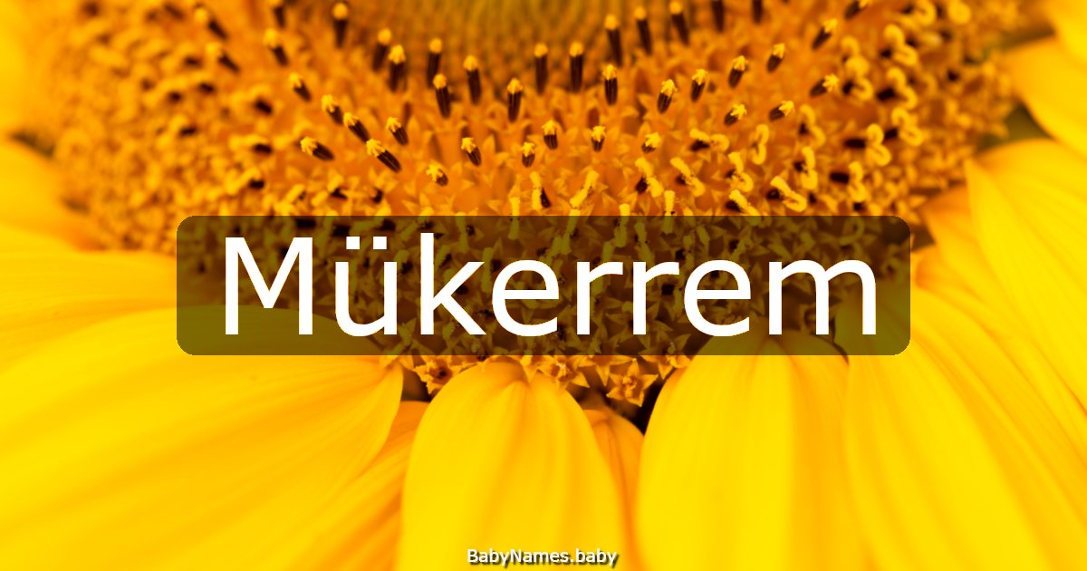 Mükerrem