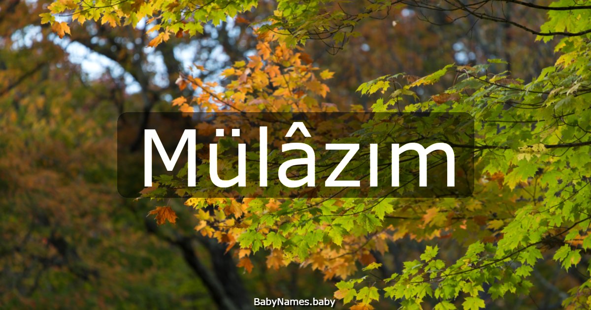 Mülâzım