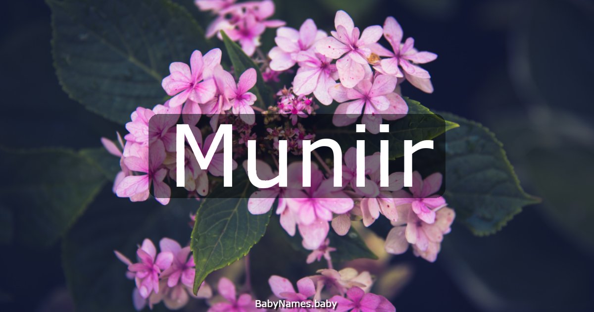 Muniir