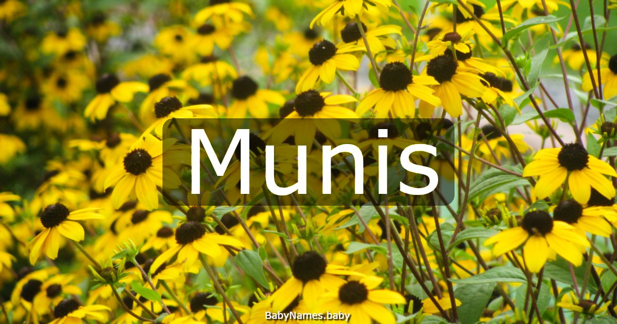 Munis
