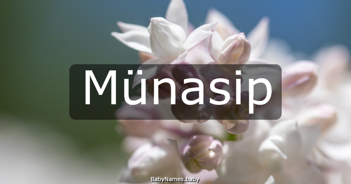 Münasip