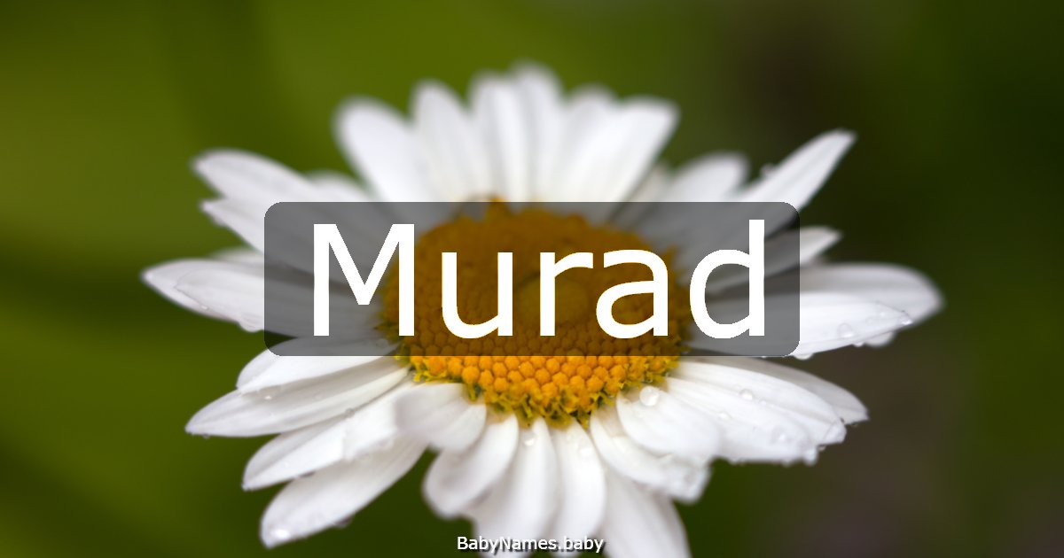 Murad