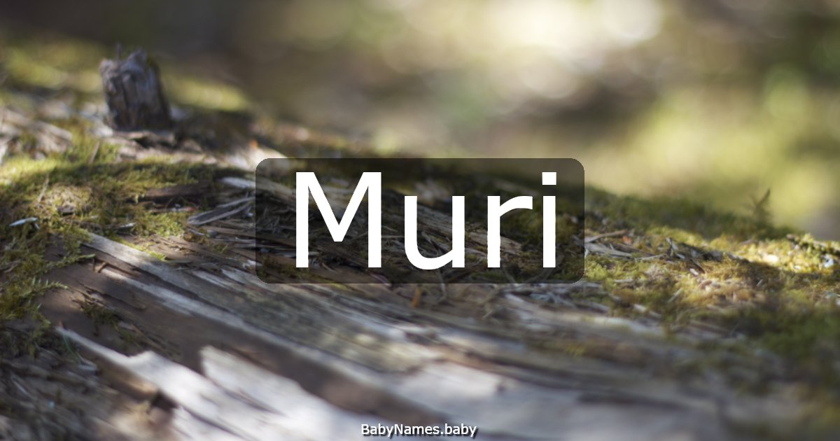 Muri