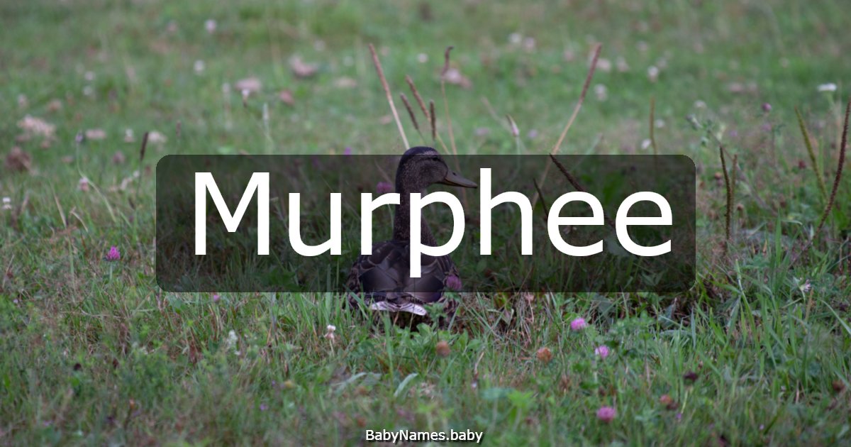 Murphee