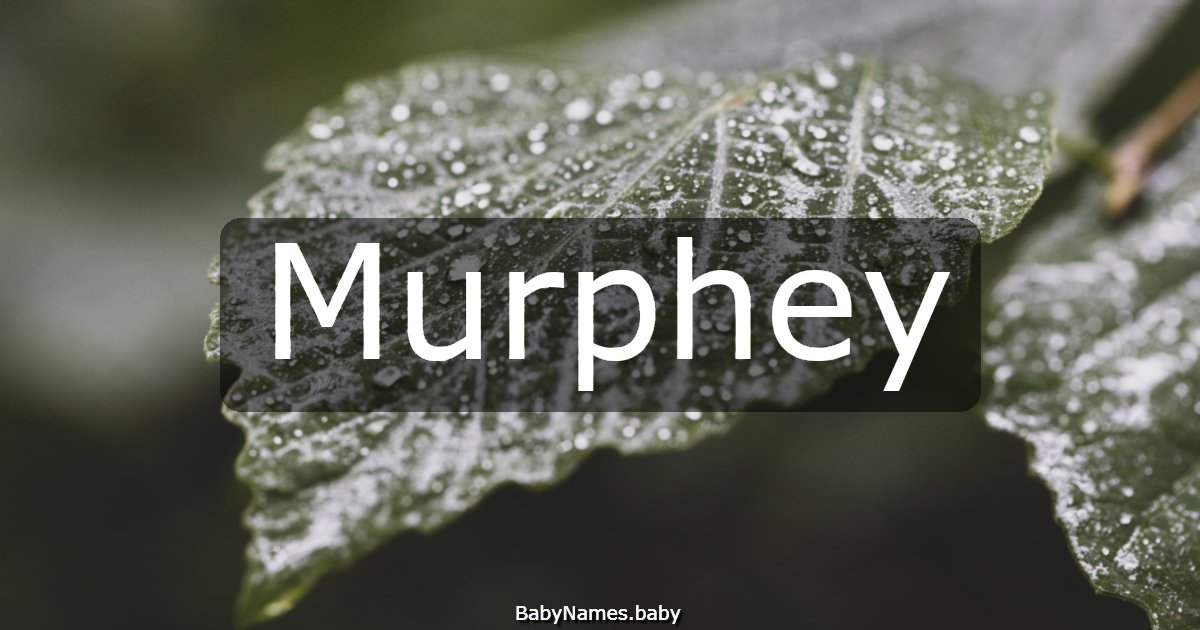 Murphey
