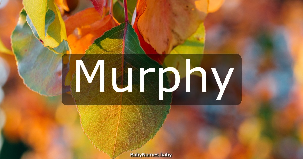 Murphy