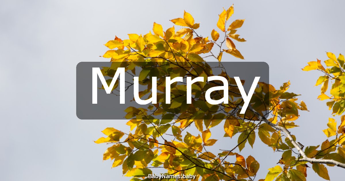 Murray