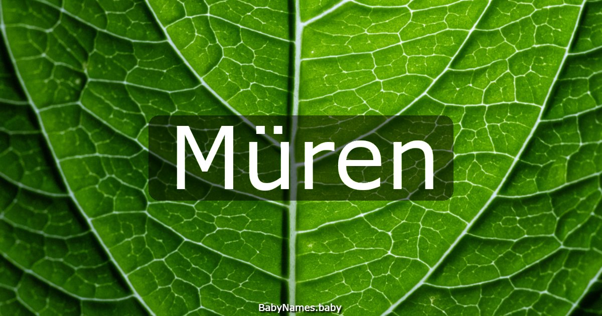 Müren