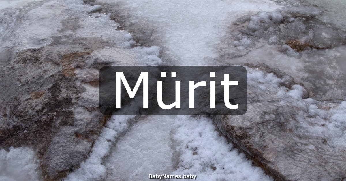 Mürit