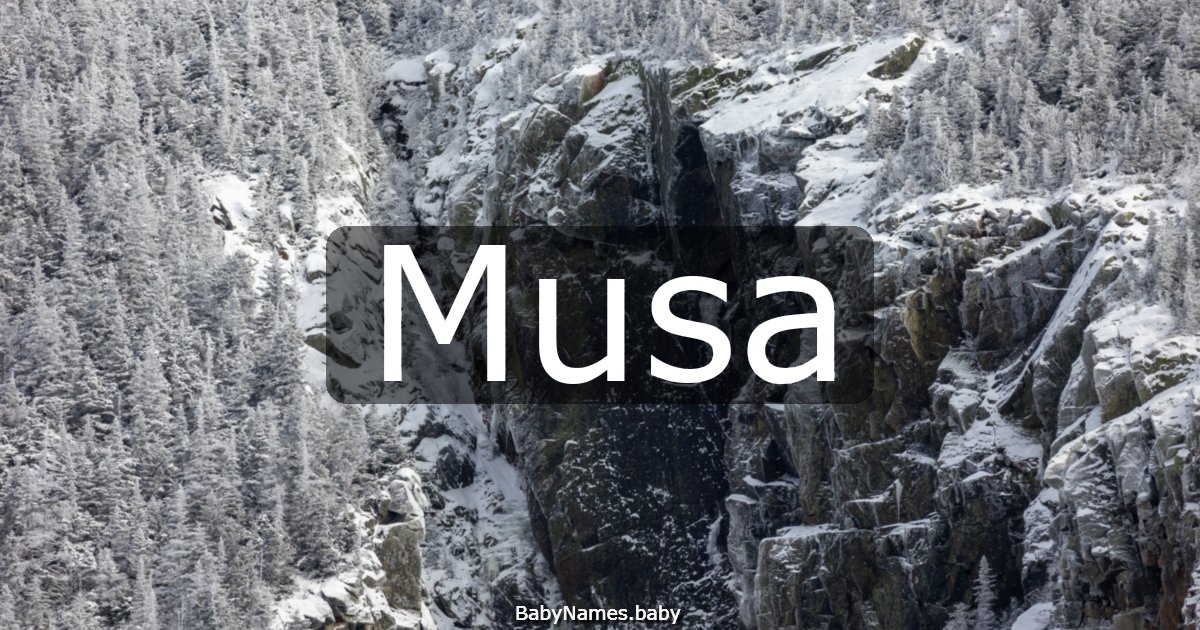 Musa