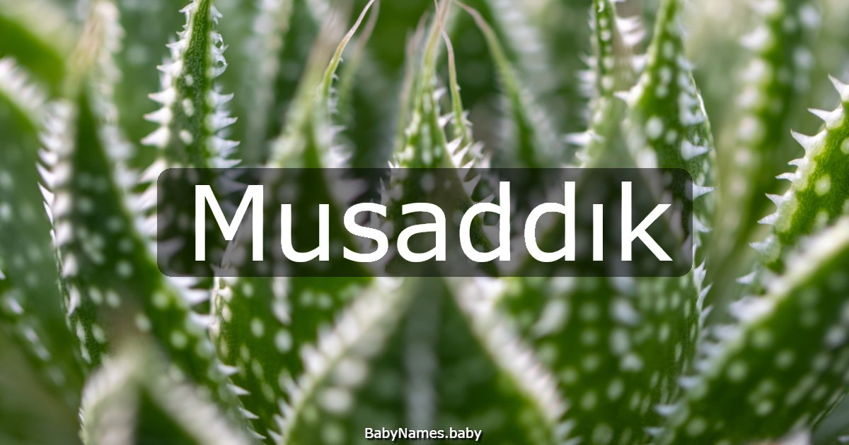 Musaddık