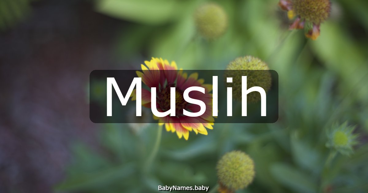 Muslih