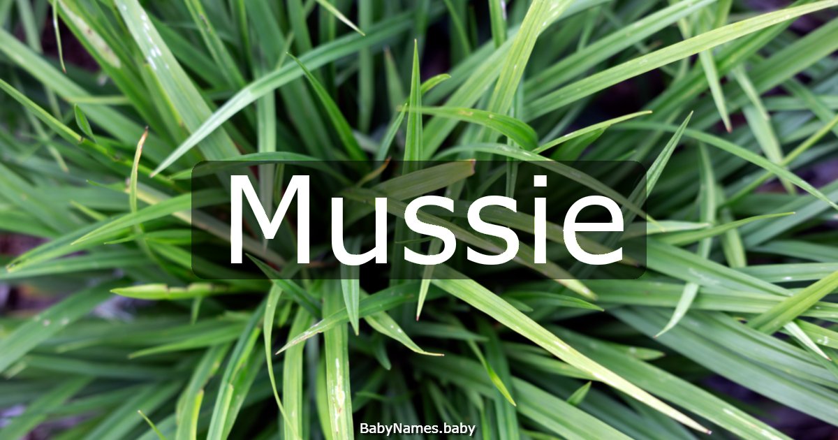 Mussie