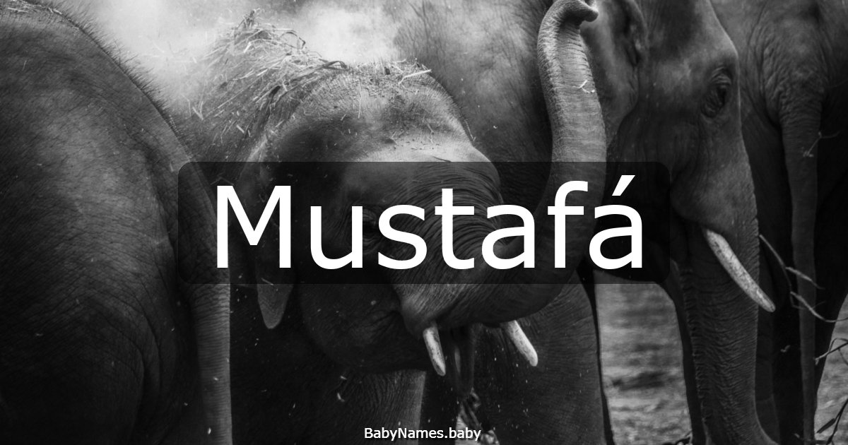 Mustafá