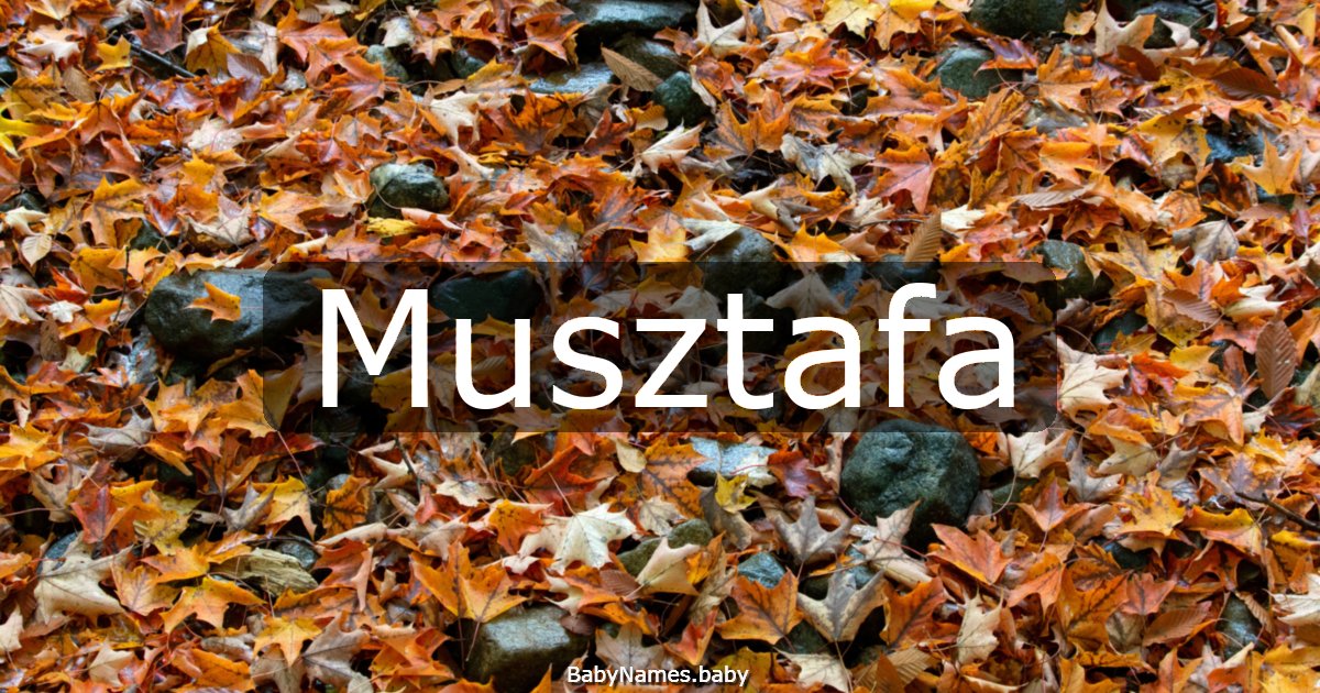 Musztafa