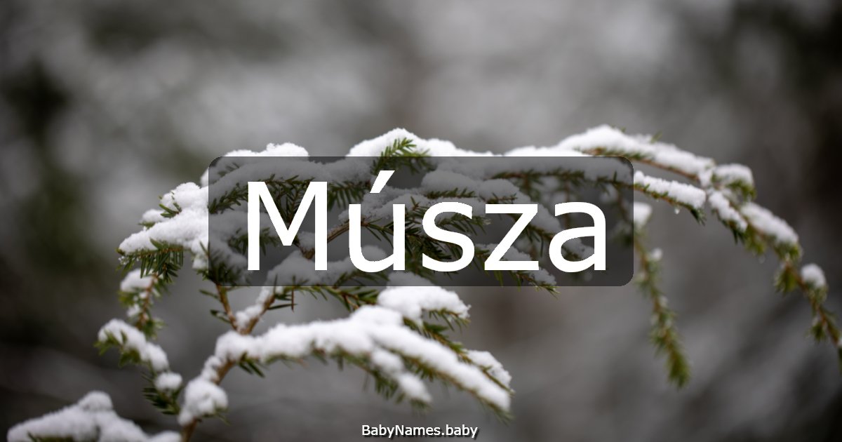 Músza