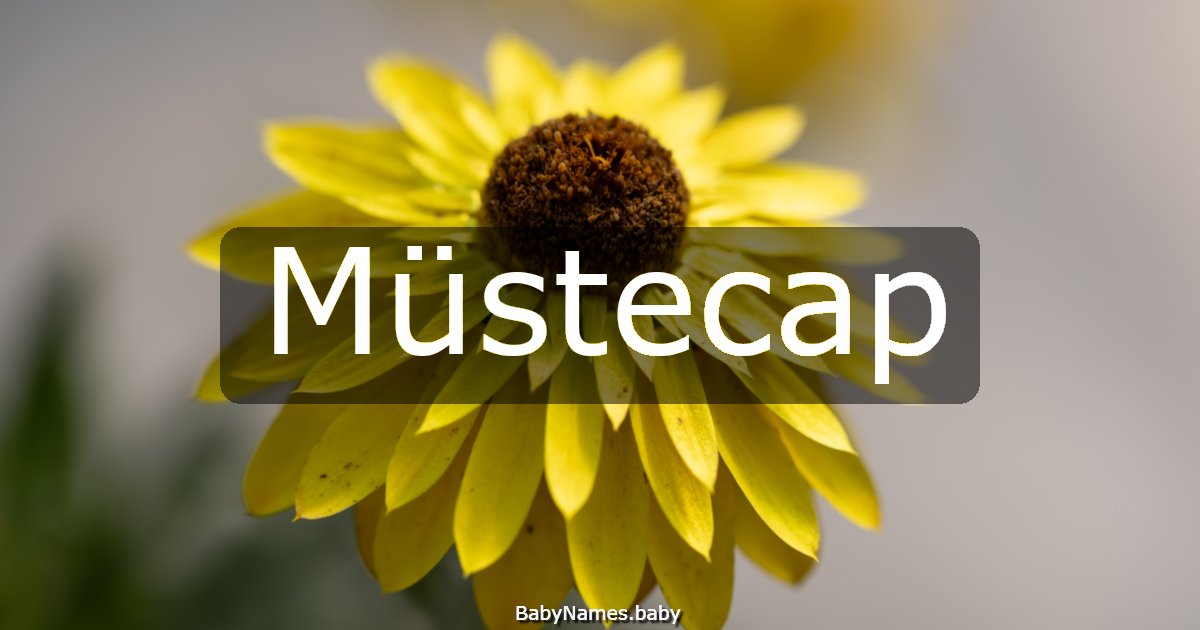 Müstecap