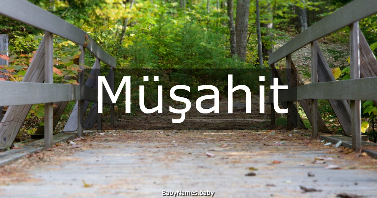 Müşahit